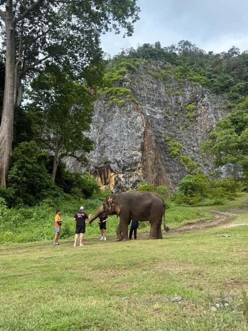 Krabi: Ethical Elephant Sanctuary & Tiger Cave Temple Tour - Key Highlights Worth Your Time