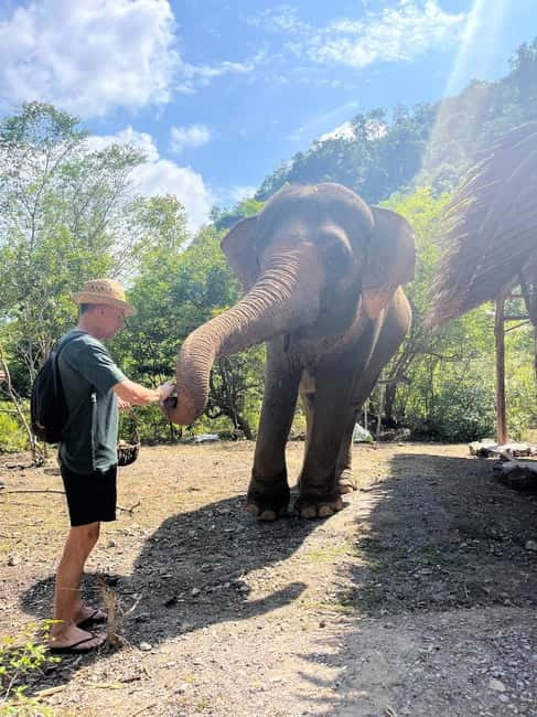 Krabi: Ethical Elephant Sanctuary & Tiger Cave Temple Tour - What to Wear and Pack: Your Day-After-Day Comfort Plan
