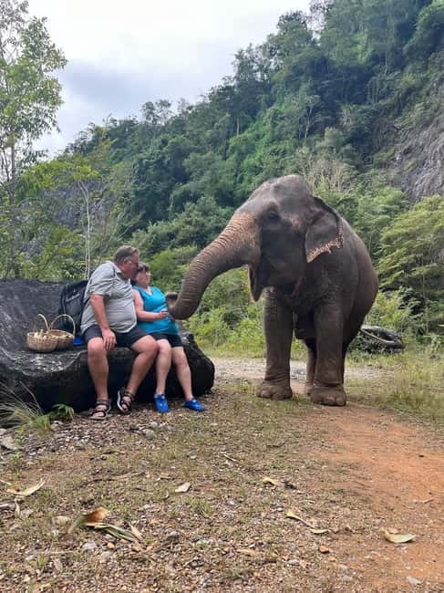 Krabi: Ethical Elephant Sanctuary & Tiger Cave Temple Tour - Value Check: Is $42 a Good Deal Here?
