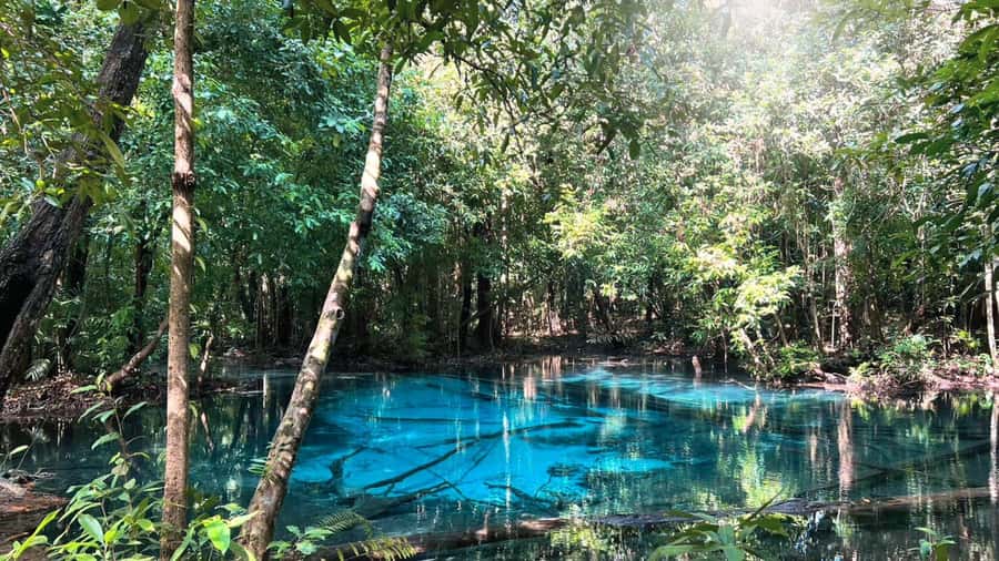 Krabi: Full-Day Car and Driver Charter - Hot Stream Krabi: Walk Time, Photos, and a Bit of Shopping
