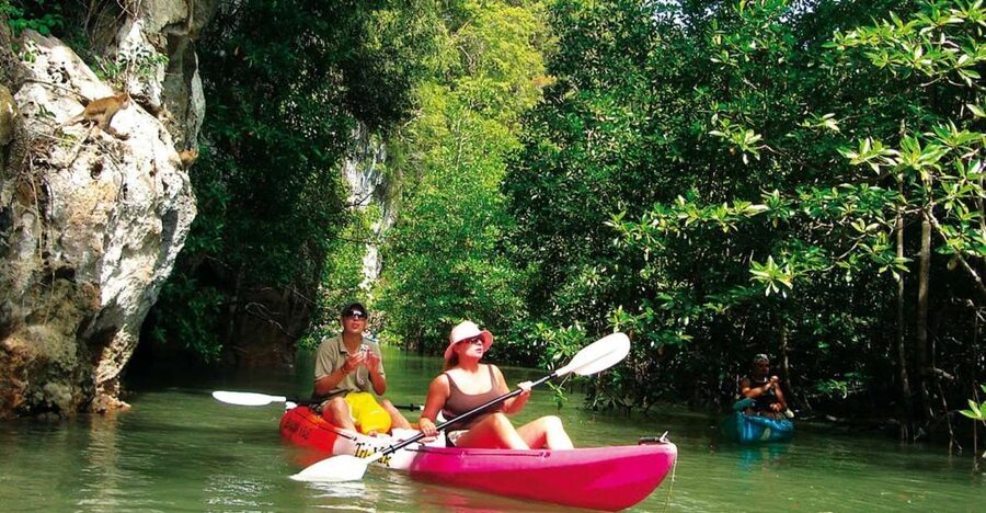 Krabi: Guided Kayaking Tour at Ao Thalane - Getting There: Pickup Options and What’s Not Included