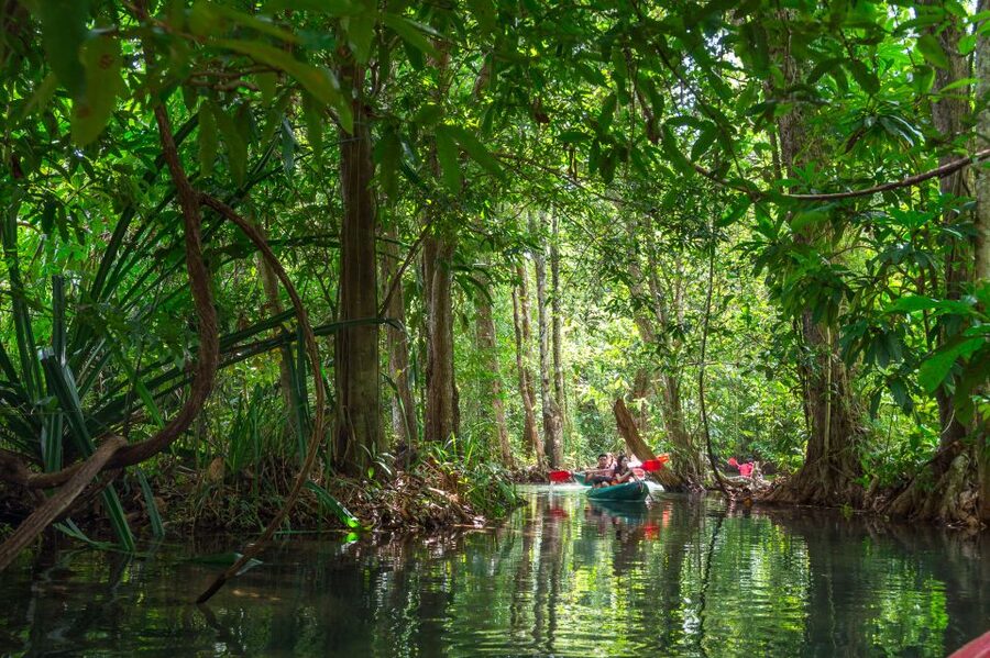 Krabi: Half-Day Blue Lagoon Kayaking at Klong Srakaew & ATV - What to bring: small items that prevent big headaches