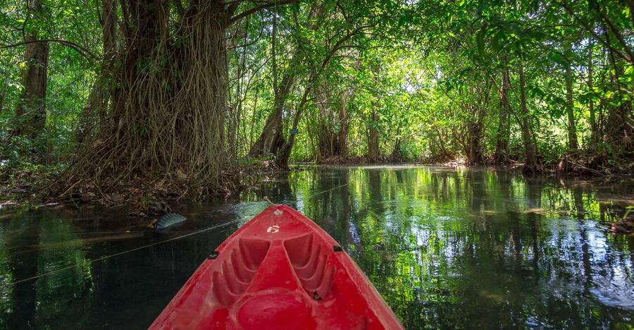 Krabi: Half-Day Blue Lagoon Kayaking at Klong Srakaew & ATV - ATV in Krabi: what the ride is actually like