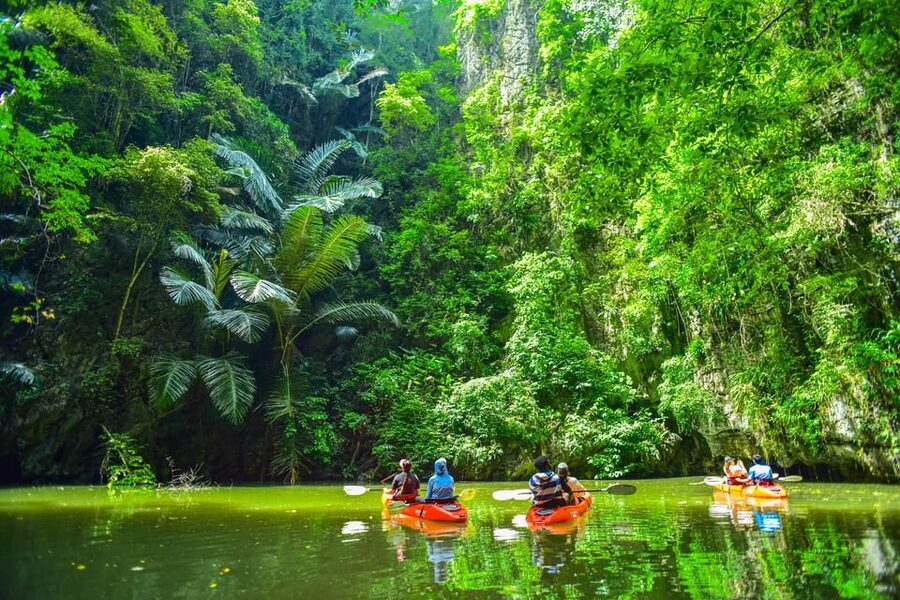 Krabi: Half-Day Bor Thor Mangrove Kayaking Tour - Key Things to Know Before You Paddle Bor Thor
