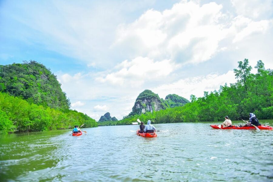Krabi: Half-Day Bor Thor Mangrove Kayaking Tour - Through the Mangroves: Calm Water, Wildlife Watching, and a Real Sense of Place