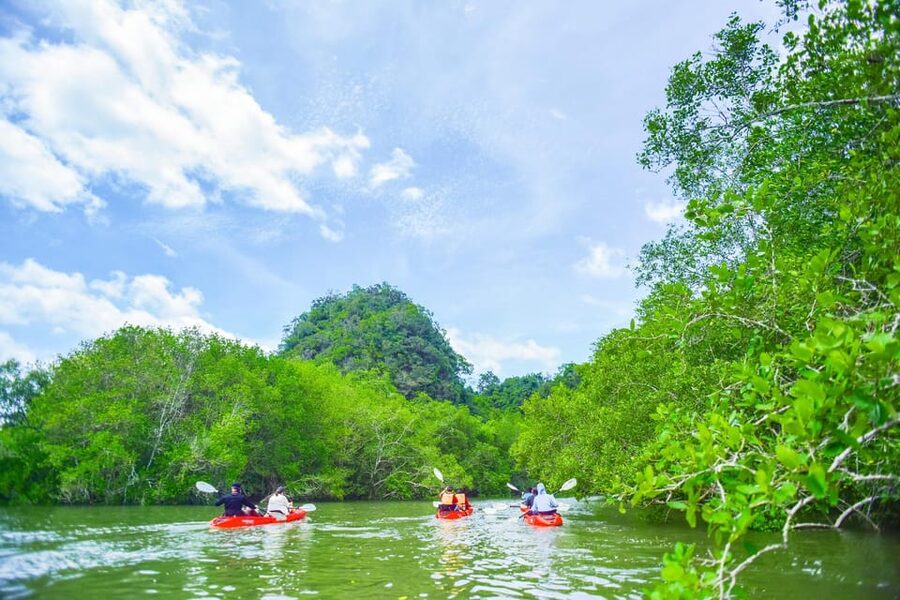 Krabi: Half-Day Bor Thor Mangrove Kayaking Tour - Pee Hua Toh Cave: Ancient Cave Paintings and Why They Matter