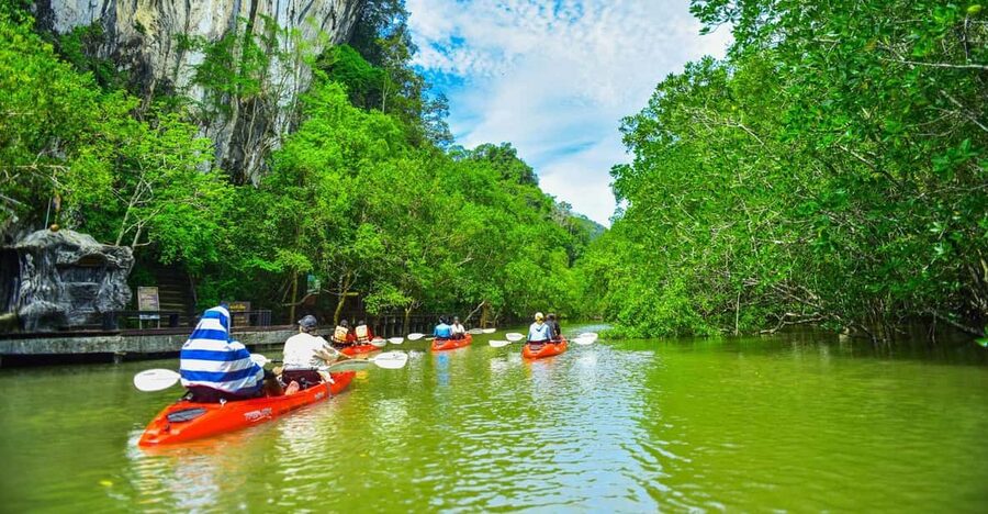 Krabi: Half-Day Bor Thor Mangrove Kayaking Tour - Lunch Break and the 30-Minute Recovery Window