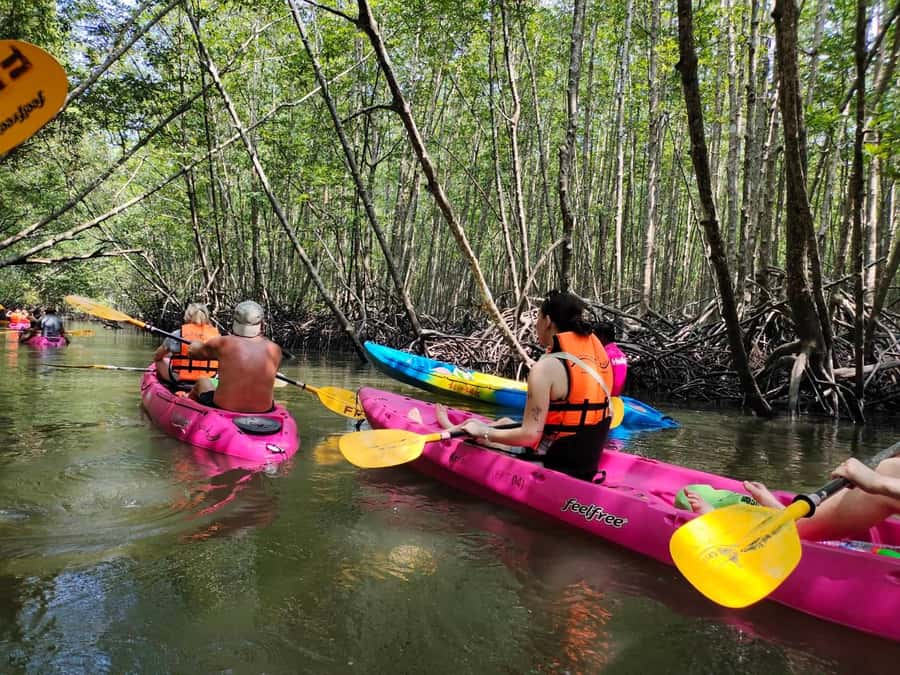 Krabi: Half-Day Kayak Adventure at Ao Thalane - Key Things That Make This Ao Thalane Kayak Tour Work