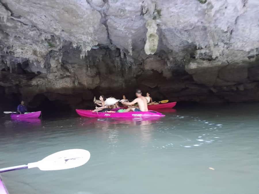 Krabi: Half-Day Kayak Adventure at Ao Thalane - Ao Thalane Mangroves: The Real Reason to Kayak Here