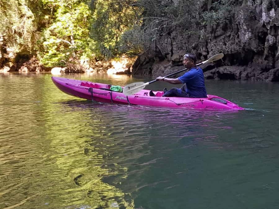 Krabi: Half-Day Kayak Adventure at Ao Thalane - Wildlife and Photo Moments: When Guides Turn Sightseeing Into Stories