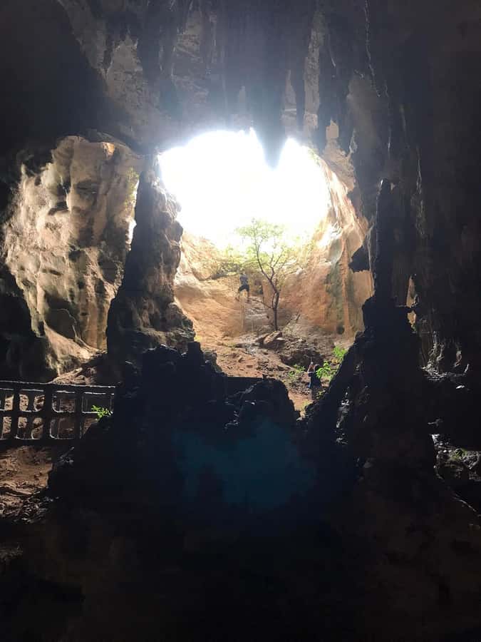 Krabi: Half-Day Mangrove Boat Trip And Khao Khanap Nam Cave - Khao Khanap Nam Cave: Cave Paintings, Stalactites, and Bone Stories