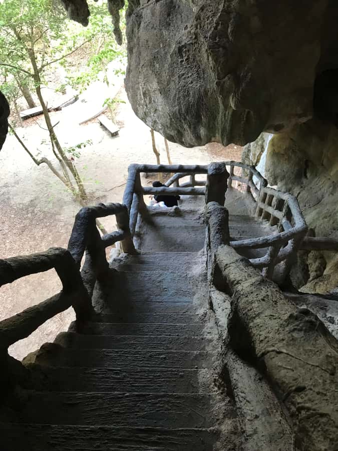 Krabi: Half-Day Mangrove Boat Trip And Khao Khanap Nam Cave - Live English Guide: How Much Story You Get
