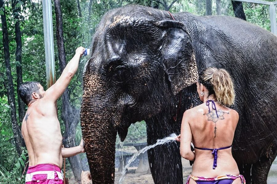 Krabi: Highlights Tour with Krabi Elephant Shelter - Photos and Small Comforts That Make the Tour Feel Worth It
