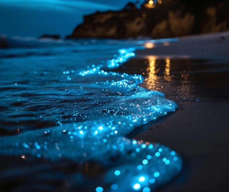 Krabi: Hong Islands Sunset, Bioluminescent Plankton and BBQ - Who this tour fits best (and who should skip it)