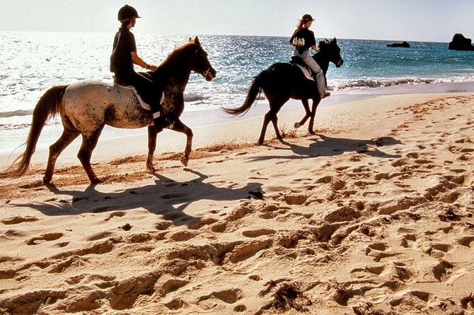 Krabi Horse Riding at Ao Nam Mao Beach - Key Highlights You’ll Actually Care About