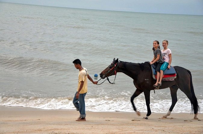 Krabi Horse Riding at Ao Nam Mao Beach - Beach Time vs. Heat and Tides: The Real-World Tradeoff