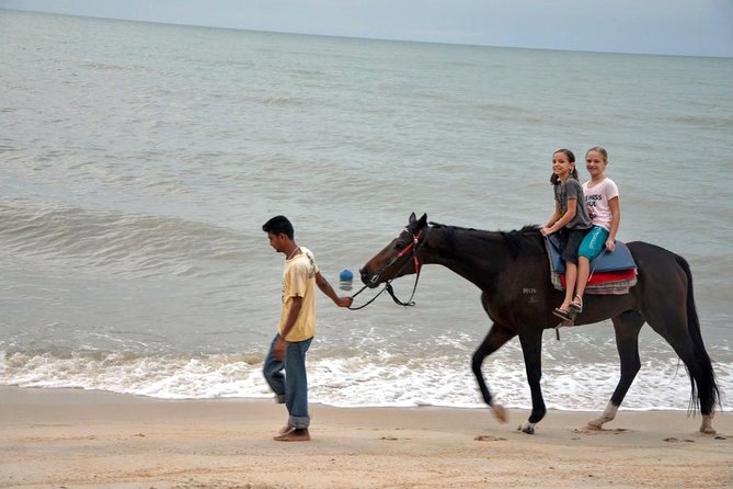 Krabi Horse Riding at Ao Nam Mao Beach - Horse Welfare: What to Trust, What to Question