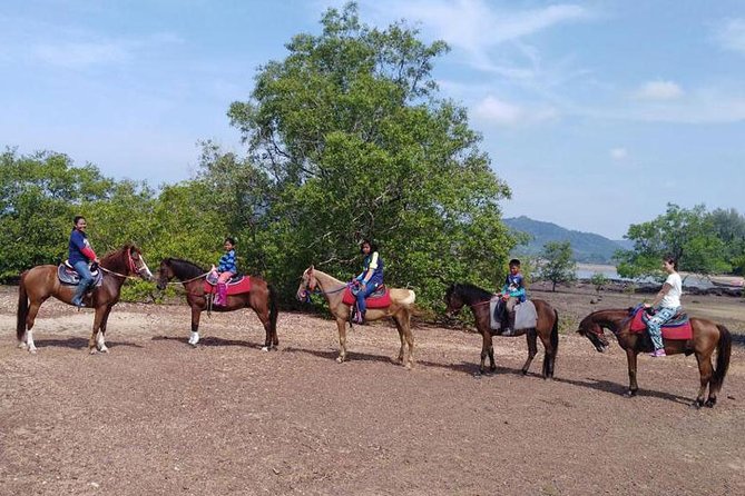 Krabi Horse Riding at The Beach - Included gear, guides, and the swimming add-on (with real pricing)