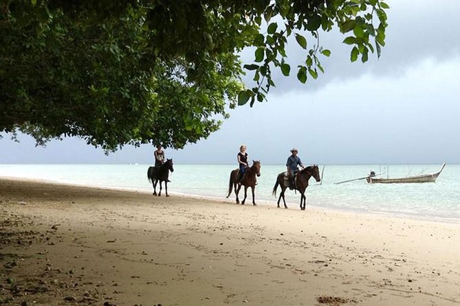 Krabi Horse Riding at The Beach - Safety rules you should not ignore: weight, clothing, and comfort