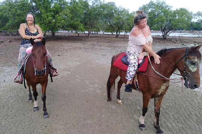 Krabi Horse Riding at The Beach - Value check: is $44.90 worth it in Krabi?