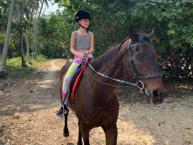 Krabi: Horse Riding On Klong Muang Beach - Horses and comfort: what to expect from calm, compliant mounts