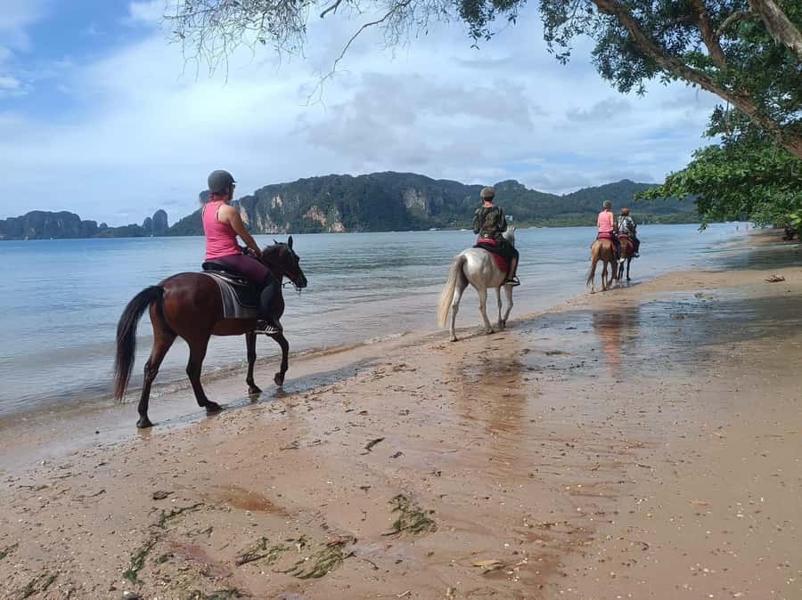 Krabi Horse Riding on the Beach and atv Extreme - Key things to know before you go