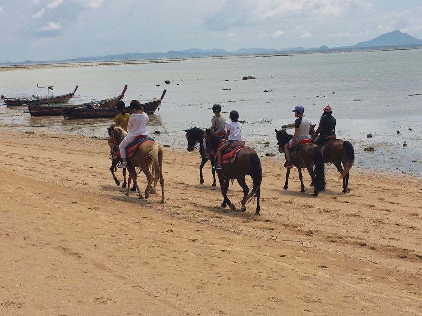 Krabi: Horseback Riding on the Beach - Key things to know before you go
