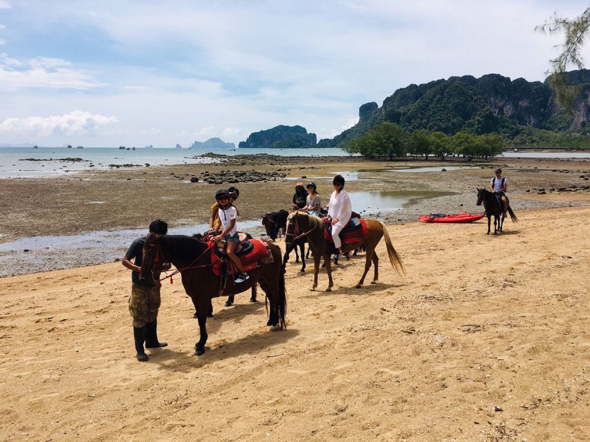 Krabi: Horseback Riding on the Beach - The fossil beach stop: shellfish history you can actually see