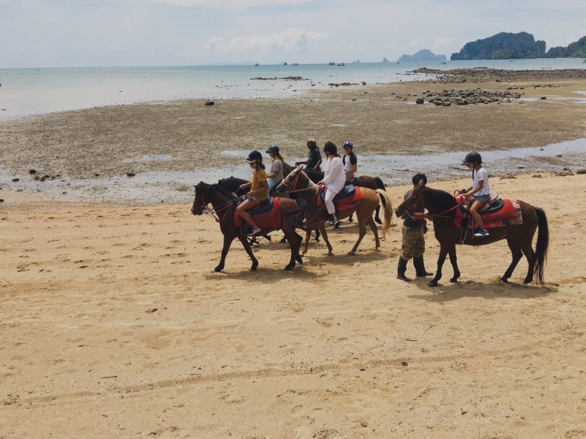Krabi: Horseback Riding on the Beach - Mosquitoes, mud, and what to bring so the day stays fun