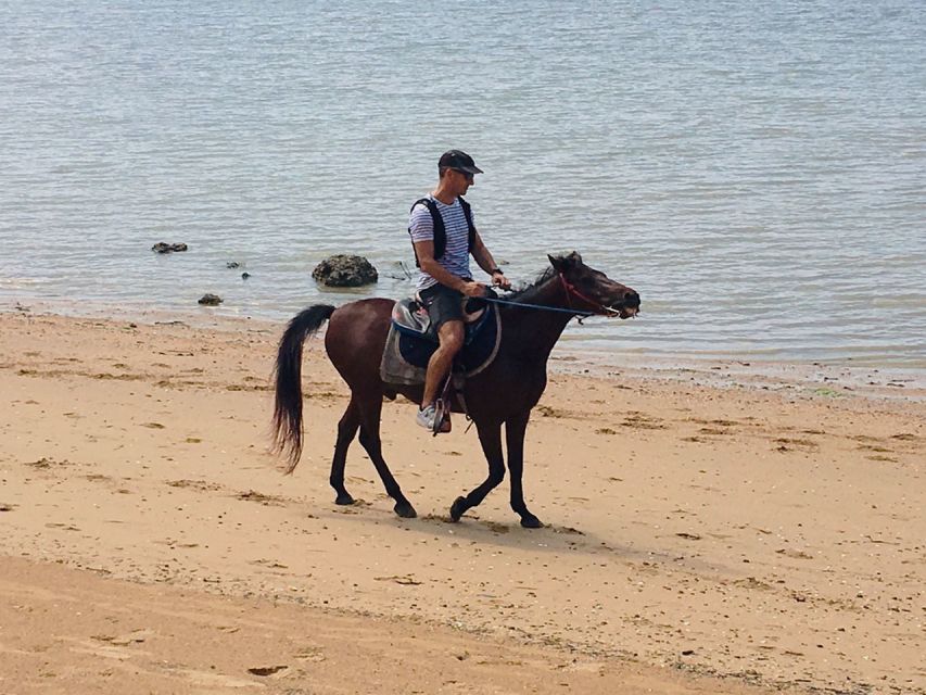 Krabi: Horseback Riding on the Beach - Should you book this Krabi horseback riding on the beach?