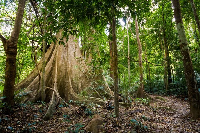 Krabi Jungle Adventure: Emerald Pool, Hot Springs & ATV - Practical Tips That Make the Whole Day Easier