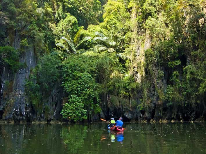 Krabi: Kayak Adventure through Ao Thalane Mangrove Forest - Wildlife spotting in Ao Thalane: what to watch for