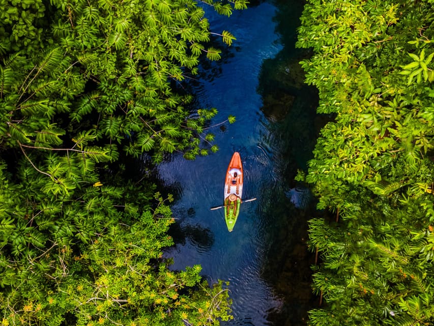 Krabi: Kayak Adventure through Ao Thalane Mangrove Forest - What you’re paying $38 for: value that makes sense