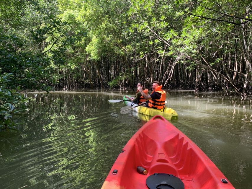 Krabi: Kayak in Mangrove Forest with Meal Aonang - Key highlights at a glance