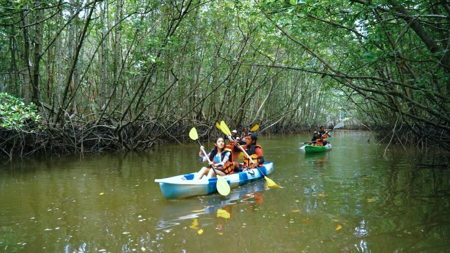Krabi: Kayak in Mangrove Forest with Meal Aonang - Why Ao Nam Mao Mangroves Are Worth the Paddle