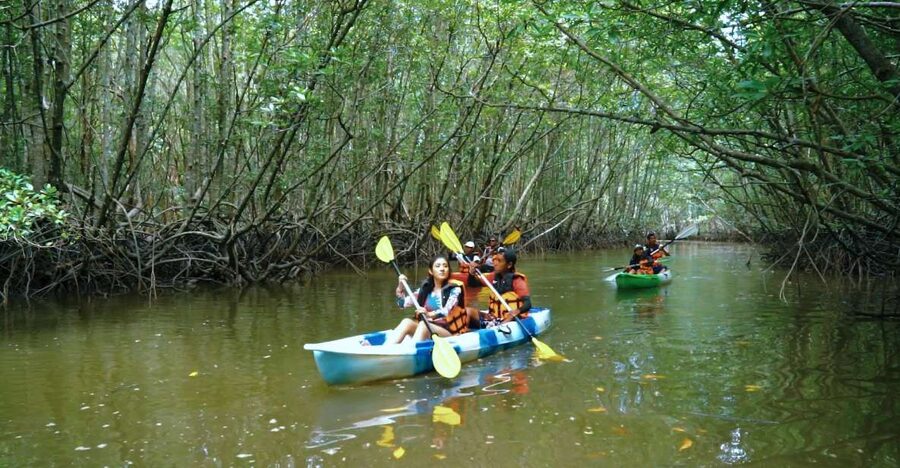 Krabi: Kayak in Mangrove Forest with Meal Aonang - Limestone Karsts and the Best Photo Moments