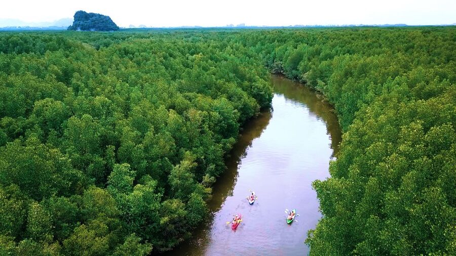 Krabi: Kayak in Mangrove Forest with Meal Aonang - Gear and Clothing: What to Bring for a Comfortable Mangrove Kayak