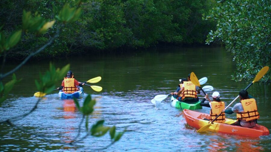 Krabi: Kayak in Mangrove Forest with Meal Aonang - What the 90-Minute Kayak Loop Actually Feels Like