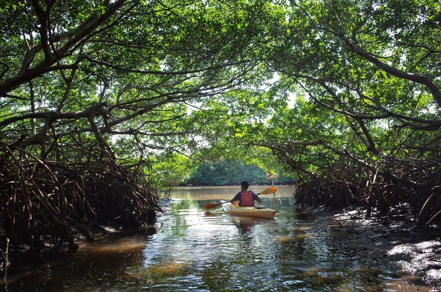 Krabi kayaking Ao thalane - Getting From Ao Nang: A Simple Pickup That Actually Sets the Tone