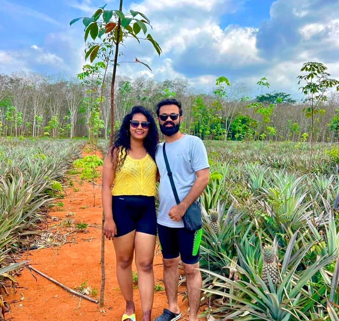 Krabi: Kayaking, Crystal Lagoon, and Fish Spa in Klong Root - Pineapple farm visit: local agriculture, but it may be short