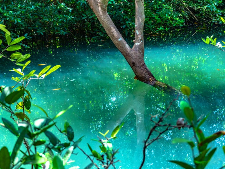 Krabi: Kayaking, Crystal Lagoon, and Fish Spa in Klong Root - Sunset option on the last tour: calm ending over the water