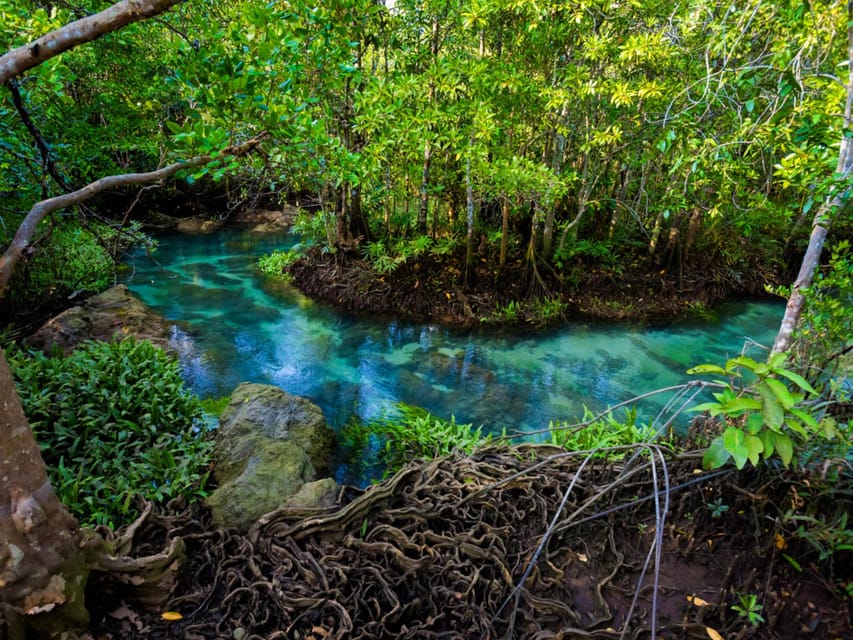 Krabi: Kayaking, Crystal Lagoon, and Fish Spa in Klong Root - Price and value: $38 plus a 50 Baht entrance fee