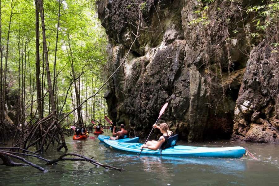 Krabi: Kayaking in Ao Thalane Bay Beautiful Mangrove Forest - Caves, Canyons, and Lagoons You See Up Close