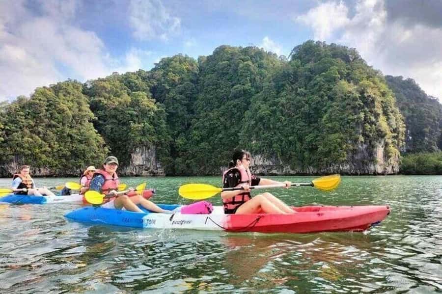 Krabi: Kayaking in Ao Thalane Bay Beautiful Mangrove Forest - Wildlife Checklist: What You Might Spot on the Water