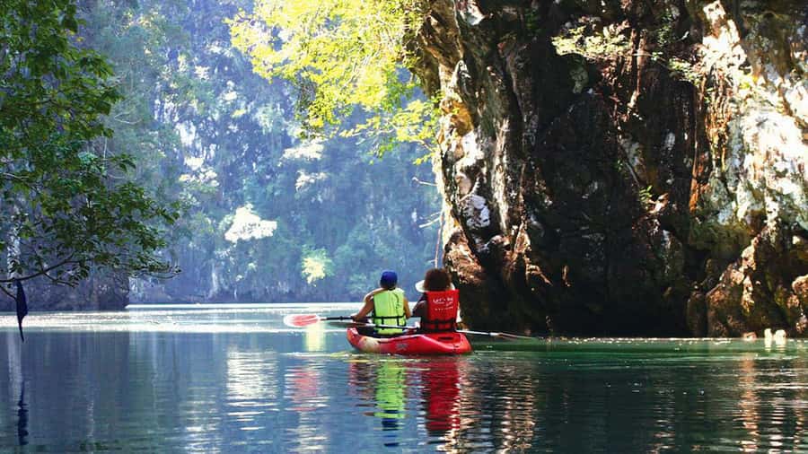 Krabi: Kayaking in Ao Thalane Bay Beautiful Mangrove Forest - What to Bring and What to Avoid