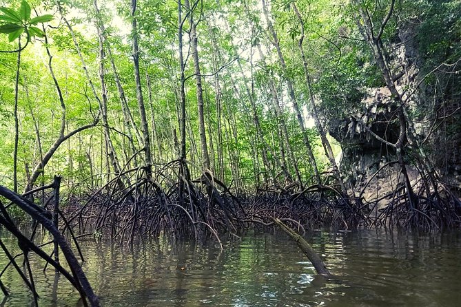Krabi: Kayaking Tour at Ban Bor Thor Ancient Cave & Mangroves - Transfers and Comfort: What the Tour Logistics Get Right