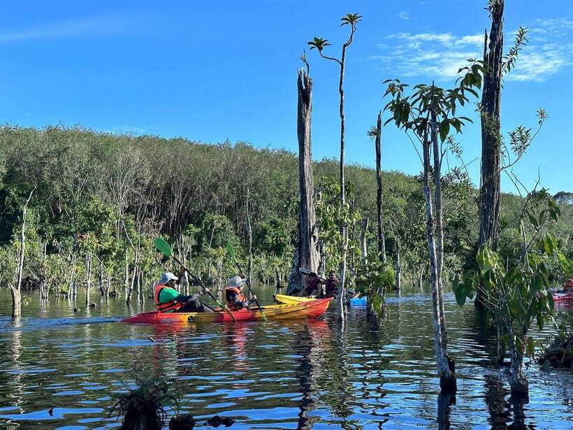 Krabi: Klong Root (Crystal lake) Kayaking tour - Key highlights worth putting on your radar