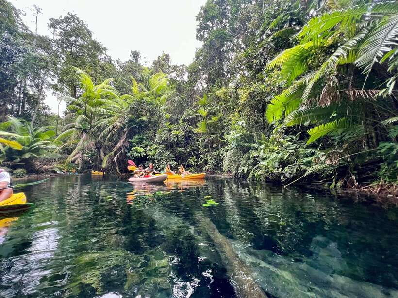Krabi: Klong Root (Crystal lake) Kayaking tour - Klong Root feels like a shortcut to Krabi’s best water days