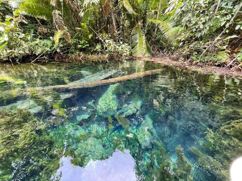 Krabi: Klong Root (Crystal lake) Kayaking tour - Kayaking the clear-water canal: what you’re really doing out there