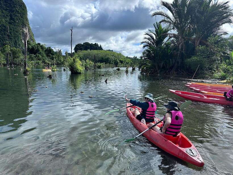 Krabi: Klong Root (Crystal lake) Kayaking tour - The swim stop with fish in the water: the moment that sells the tour